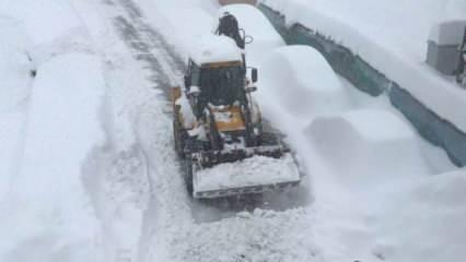 Kastamonu'da kar kalınlığı 1 metreyi aştı! Araçlar kayboldu