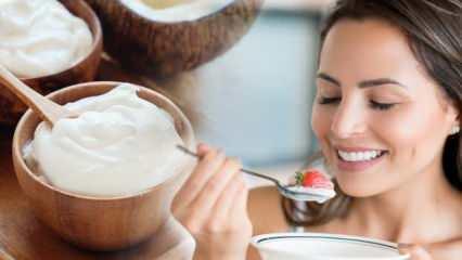 Probiyotik yoğurt nedir, ne işe yarar? Probiyotik yoğurdun faydaları nelerdir?
