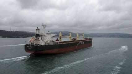 Rusya’dan yola çıkan ayçiçeği yağı yüklü gemi Çanakkale Boğazı'ndan geçti
