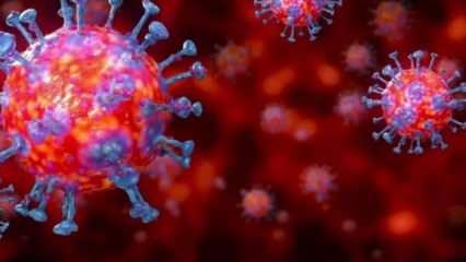 Son dakika: 8 Mart koronavirüs tablosu açıklandı! 