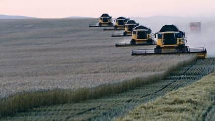 Ukrayna-Rusya savaşının Orta Doğu'ya etkisi: Arap dünyasında buğday korkusu