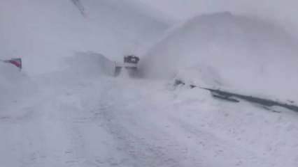 Ardahan'da kar ve tipide mahsur kalan 33 araç kurtarıldı 