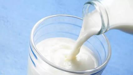 Çiğ süte destekte büyük artış