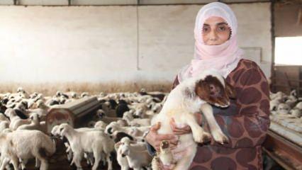 Elazığ’da 3 çocuk annesi kadın devlet desteği ile çiftlik kurdu! 