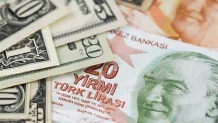 Türk devlerinden BAE'ye 130 milyar dolarlık çıkarma