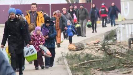 Hırvatistan'da evlerini Ukrayna’dan gelenlere açanlara kira ödenecek