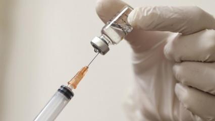 Kovid-19'la mücadelede 'Rehavete kapılmadan aşı olmaya devam edilmeli' uyarısı