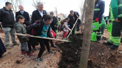 Şahinbey Belediyesi  4 milyona yakın ağaç dikti 