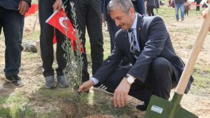 Şahinbey Belediyesi daha yeşil bir Gaziantep için fidanlar toprakla buluşturdu