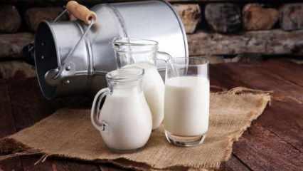 Süt ve süt ürünlerindeki ihracat yüzde 450 arttı
