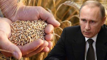 Putin buğdayı silah olarak kullanabilir
