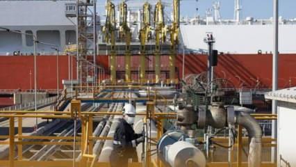 Rus gazına alternatif arayan Avrupa'da LNG terminali fiyaskosu