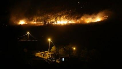 Son dakika... Çanakkale, Bursa ve Bilecik'te orman yangını