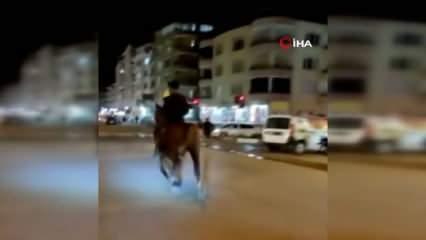 At ile video çekerken arabayla çarpıştı