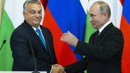 Putin, Macaristan Başbakanı Orban'la Ukrayna'yı görüştü