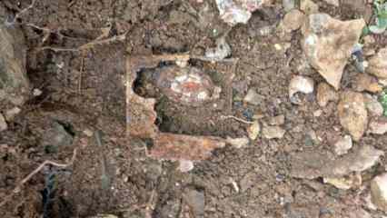 Sakarya'da bahçesini temizlerken el bombası buldu