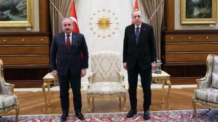 Cumhurbaşkanı Erdoğan, Meclis Başkanı Şentop'u kabul etti