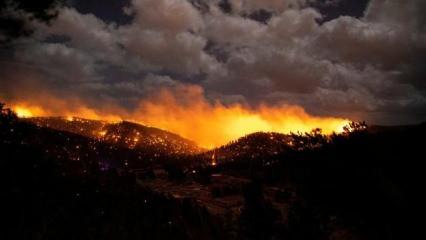 ABD'nin New Mexico eyaletindeki yangınlarda en az 13 bin dönüm arazi zarar gördü