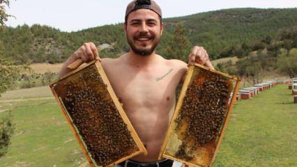 Amasya'da binlerce arının arasında korkusuzca dolaşan arıcı: Rakibim yok