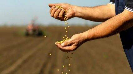 Çin, gıda güvenliği için tohuma sahip çıkacak!