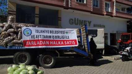 Gaziantep'te belediye eliyle tarladan halka sebze satışı 