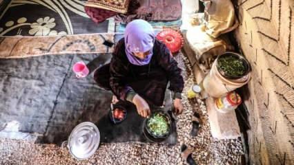 İdlib'deki kamplara sığınan siviller ramazanı yoksulluğun pençesinde geçiriyor