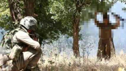 PKK'lı 4 terörist daha teslim oldu, sınırlarda 3 şüpheli yakalandı