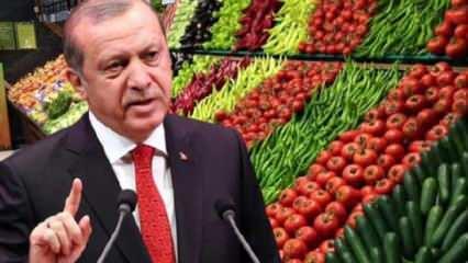 Erdoğan'dan 'Hal Yasası' açıklaması