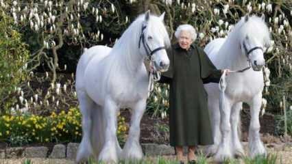 Kraliçe Elizabeth 96 yaşında: Beyaz atlı poz!