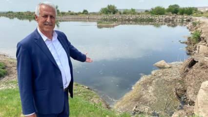 Dicle Nehri'ndeki balık ölümlerine inceleme
