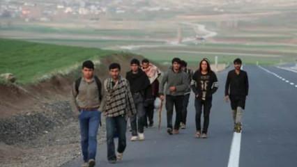 Ahmet Hakan'dan dikkat çeken yazı: Sığınmacı konusunda yapılması gerekenler!