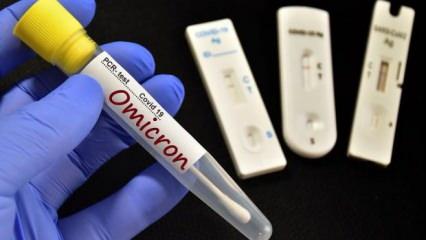 DSÖ: Güney Afrika'da Omicron'un 2 yeni alt varyantı tespit edildi