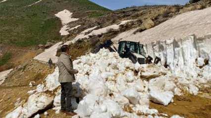 Şırnak&rsquo;ta kapalı yayla yolları ulaşıma a&ccedil;ılıyor