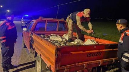 Van'da kaçak avlanan 1 ton inci kefali ele geçirildi