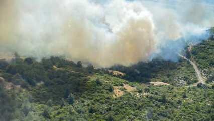 İzmir'de makilik ve orman yangını