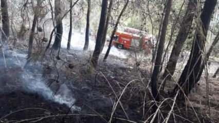 Son dakika: Fethiye'de orman yangını! Ekipler teyakkuzda