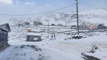 Trabzon'da yaylalarda kar yağışı devam ediyor   