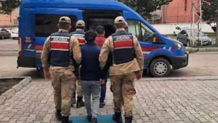 Ardahan'da kaçak göçmenler yakalandı