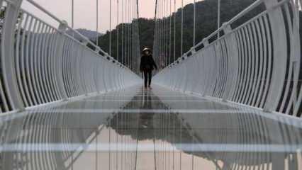 Dünyanın en uzun cam köprüsü! Geçenlerin ayakları titriyor...