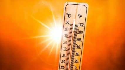 Toronto'da son 78 yılın sıcaklık rekoru kırıldı