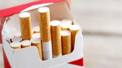 Yasa tasarısı hazırlandı: Hollanda'da sigara fiyatları 6 kat zamlanacak