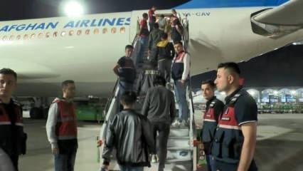 Sınır dışı edilen 178 Afgan, uçakla ülkelerine gönderildi