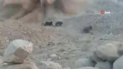 Ölümden döndüler! Çocuğun attığı taş mayına denk geldi