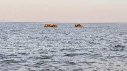 Datça açıklarında 104 düzensiz göçmen kurtarıldı