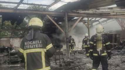 Fabrikada yangın: Ormanlık alana sıçramadan söndürüldü