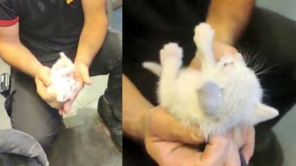 İzmit’te kedi kurtarma operasyonu! Kolon arasında mahsur kaldı