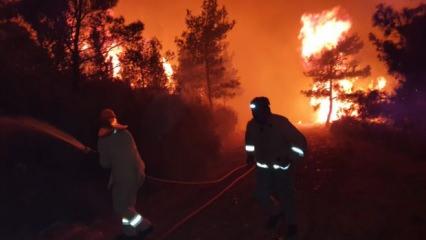 Marmarıs'te korkutan orman yangını! Bakanlar yangın bölgesini havadan inceledi