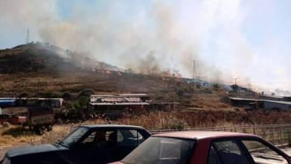 İzmir'in iki ilçesinde orman ve otluk yangını