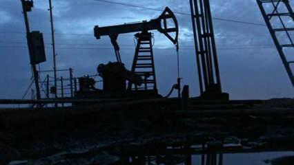 Nijerya ka&ccedil;ak petrol rafinerisi cenneti gibi: 200'den fazla...