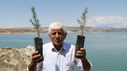 Tunceli’de ömrünü ağaçlara adadı, 38 yılda 30 bin ağaç dikti   